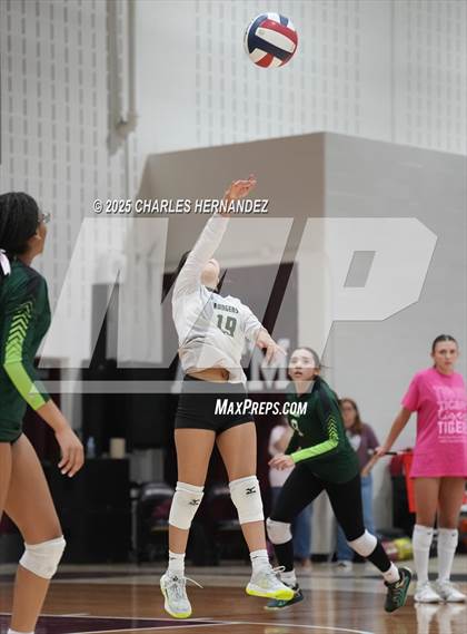 Thumbnail 3 in JV: Rudder @ A&M Consolidated photogallery.