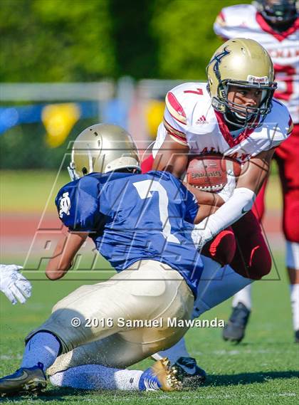 Thumbnail 3 in Alemany @ Notre Dame (SO) photogallery.