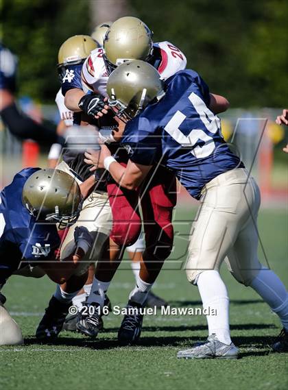 Thumbnail 1 in Alemany @ Notre Dame (SO) photogallery.