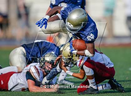 Thumbnail 3 in Alemany @ Notre Dame (SO) photogallery.