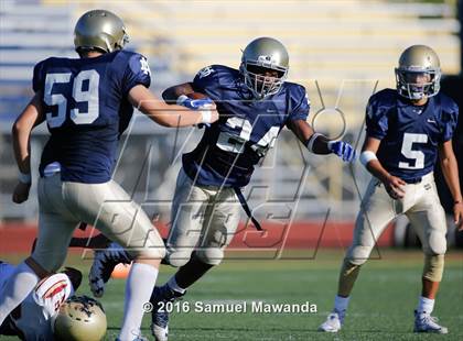 Thumbnail 1 in Alemany @ Notre Dame (SO) photogallery.