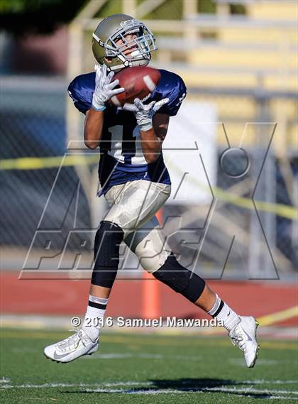 Thumbnail 1 in Alemany @ Notre Dame (SO) photogallery.
