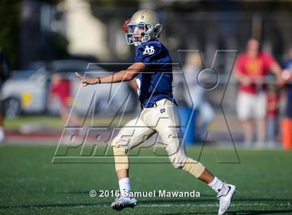 Thumbnail 1 in Alemany @ Notre Dame (SO) photogallery.
