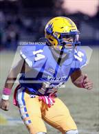 Photo from the gallery "White Oak @ Richlands"