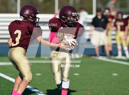 Thumbnail 3 in Arlington @ John Jay-EF photogallery.