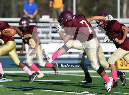 Thumbnail 2 in Arlington @ John Jay-EF photogallery.