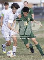 Photo from the gallery "Oakwood/Catlin @ St. Thomas More"