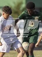 Photo from the gallery "Oakwood/Catlin @ St. Thomas More"