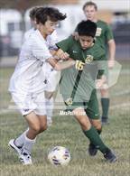 Photo from the gallery "Oakwood/Catlin @ St. Thomas More"