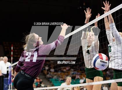 Thumbnail 1 in Fleming vs. Idalia (CHSAA 1A Round 3) photogallery.