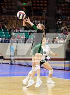 Photo from the gallery "Fleming vs. Idalia (CHSAA 1A Round 3)"