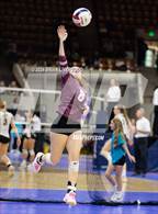 Photo from the gallery "Fleming vs. Idalia (CHSAA 1A Round 3)"