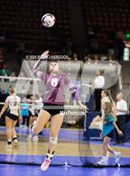 Photo from the gallery "Fleming vs. Idalia (CHSAA 1A Round 3)"