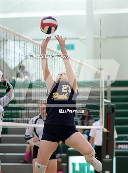 Thumbnail 2 in Poth @ Luling photogallery.