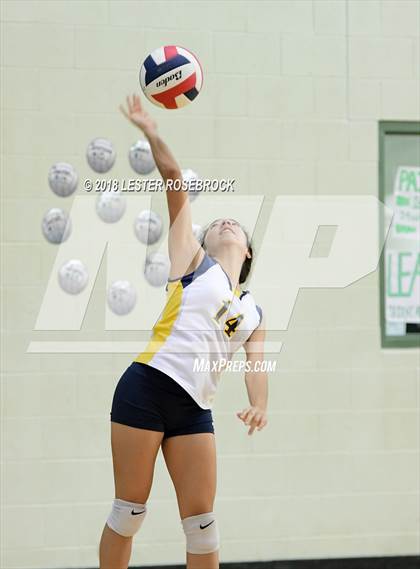 Thumbnail 3 in Poth @ Luling photogallery.