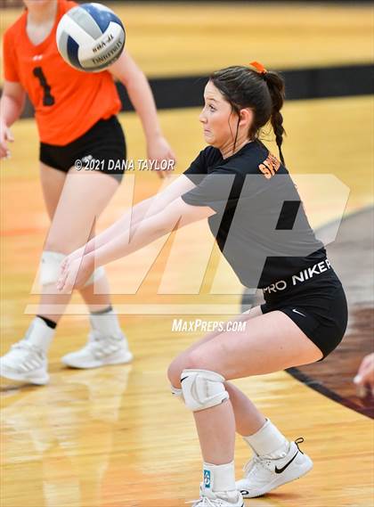 Thumbnail 2 in Springtown @ Aledo photogallery.