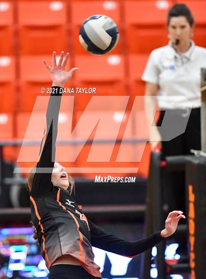 Thumbnail 3 in Springtown @ Aledo photogallery.