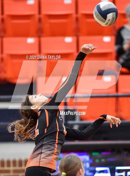 Thumbnail 2 in Springtown @ Aledo photogallery.