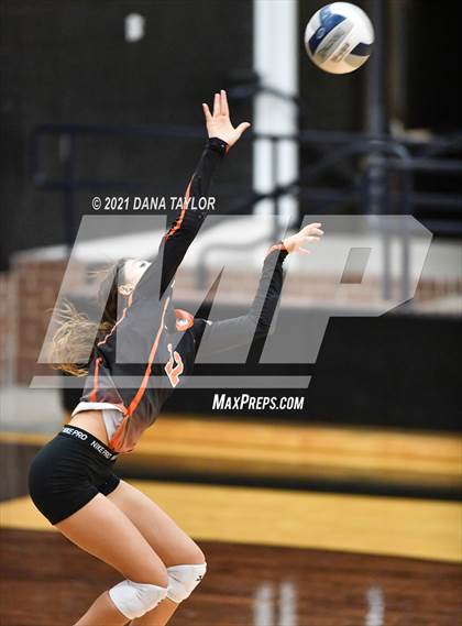 Thumbnail 2 in Springtown @ Aledo photogallery.