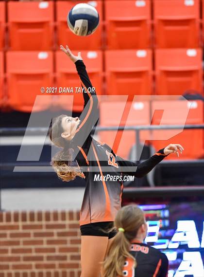 Thumbnail 1 in Springtown @ Aledo photogallery.