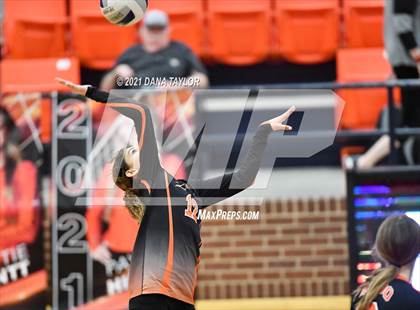 Thumbnail 3 in Springtown @ Aledo photogallery.
