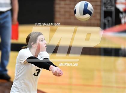 Thumbnail 3 in Springtown @ Aledo photogallery.