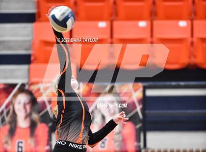 Thumbnail 1 in Springtown @ Aledo photogallery.