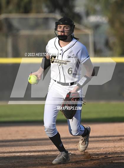 Thumbnail 3 in Brea Olinda @ Canyon photogallery.