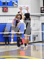 Photo from the gallery "Lancaster @ Quartz Hill"
