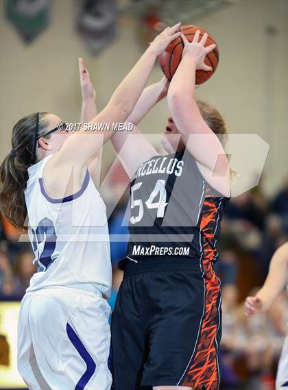 Thumbnail 2 in Marcellus @ Lawrence photogallery.