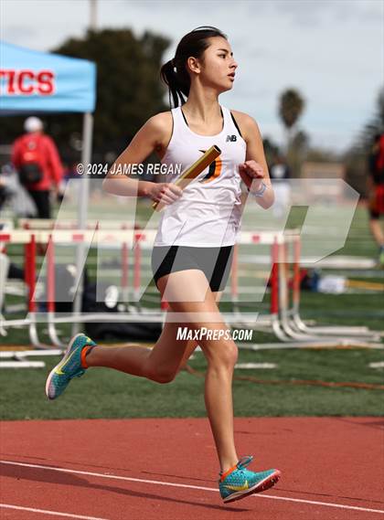 Thumbnail 2 in Fighting Knights Relays (Hillsdale HS) photogallery.