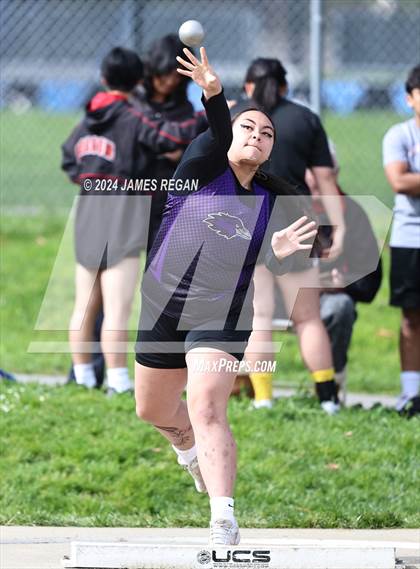 Thumbnail 3 in Fighting Knights Relays (Hillsdale HS) photogallery.