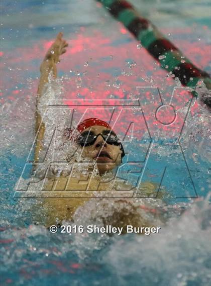 Thumbnail 3 in Fairfield Ludlowe/Warde@Norwalk/McMahon photogallery.