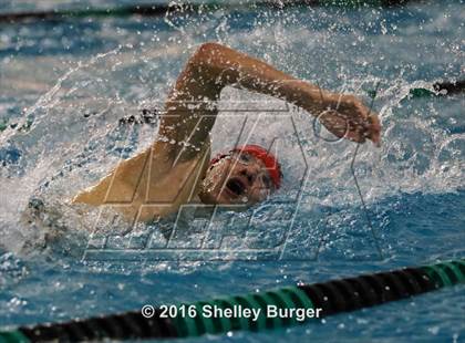 Thumbnail 3 in Fairfield Ludlowe/Warde@Norwalk/McMahon photogallery.