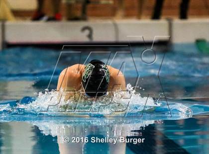 Thumbnail 3 in Fairfield Ludlowe/Warde@Norwalk/McMahon photogallery.