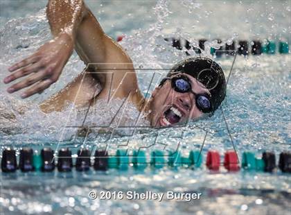 Thumbnail 1 in Fairfield Ludlowe/Warde@Norwalk/McMahon photogallery.