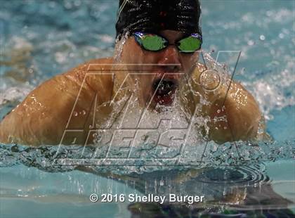 Thumbnail 3 in Fairfield Ludlowe/Warde@Norwalk/McMahon photogallery.