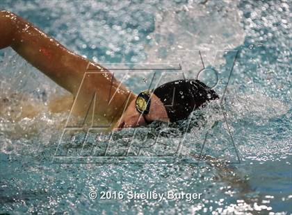 Thumbnail 3 in Fairfield Ludlowe/Warde@Norwalk/McMahon photogallery.