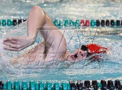 Thumbnail 3 in Fairfield Ludlowe/Warde@Norwalk/McMahon photogallery.