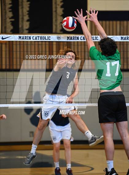 Thumbnail 1 in Archie Williams @ Marin Catholic photogallery.