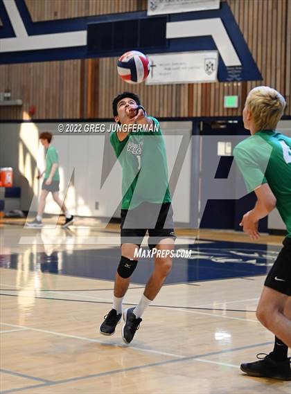 Thumbnail 3 in Archie Williams @ Marin Catholic photogallery.
