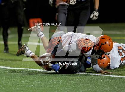 Thumbnail 2 in Lakewood @ Highlands Ranch photogallery.