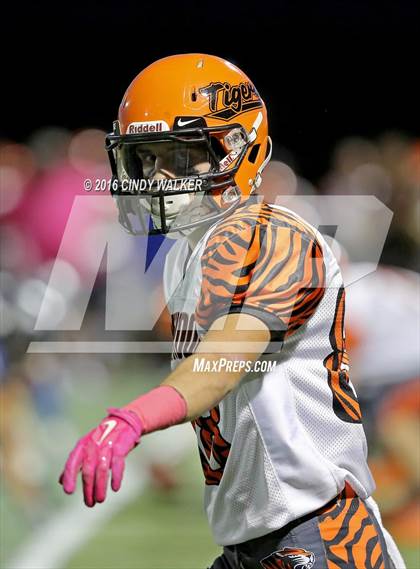 Thumbnail 1 in Lakewood @ Highlands Ranch photogallery.