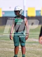 Photo from the gallery "University @ Oak Ridge"