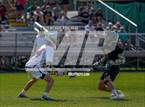 Photo from the gallery "Forest @ Oak Hall"