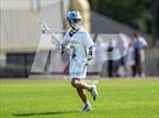 Photo from the gallery "Forest @ Oak Hall"