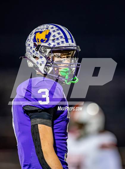 Thumbnail 3 in Washington @ St. Francis DeSales (OHSAA Div II Region 7 Semifinal) photogallery.