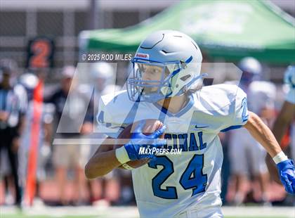 Thumbnail 1 in Encinal @ Archie Williams photogallery.