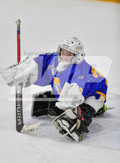 Thumbnail 2 in Webster Schroeder @ Irondequoit photogallery.