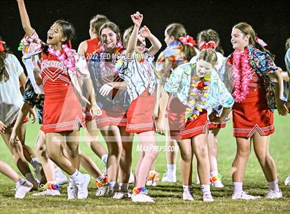 Thumbnail 1 in Harrison @ Dardanelle photogallery.